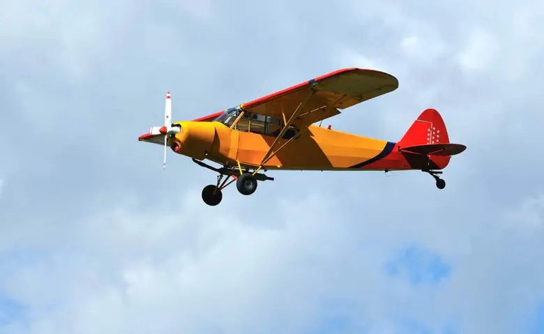 Bush planes